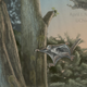 Reconstruction by April I. Neander/UChicago